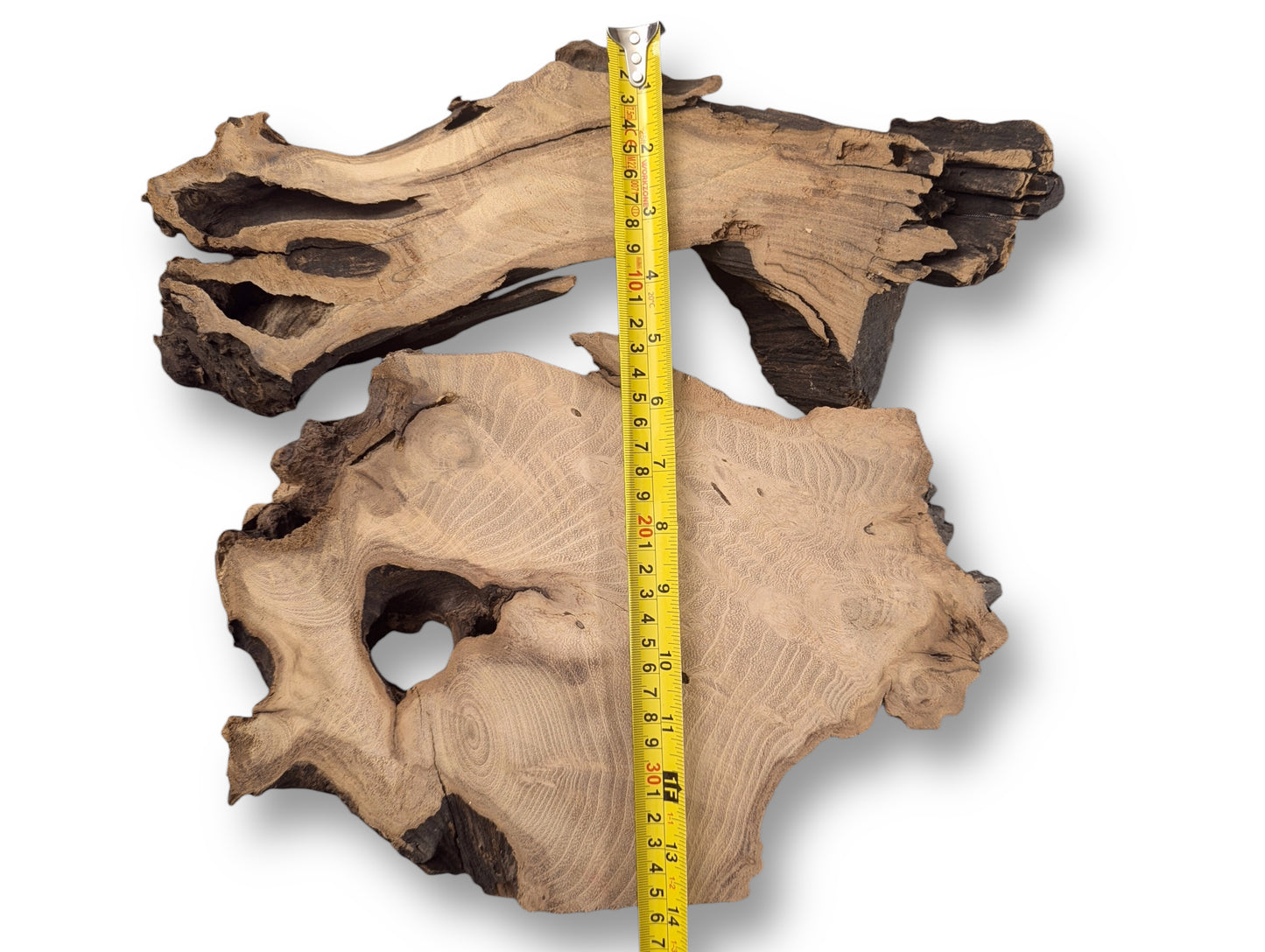 Two irregular, planed black locust root wood slices with visible grain are measured by a yellow tape.