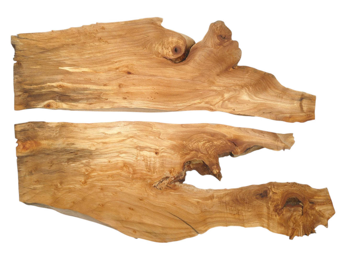 Two horizontal timber sections display prominent knots, gnarled burls, and dramatically irregular live edges.