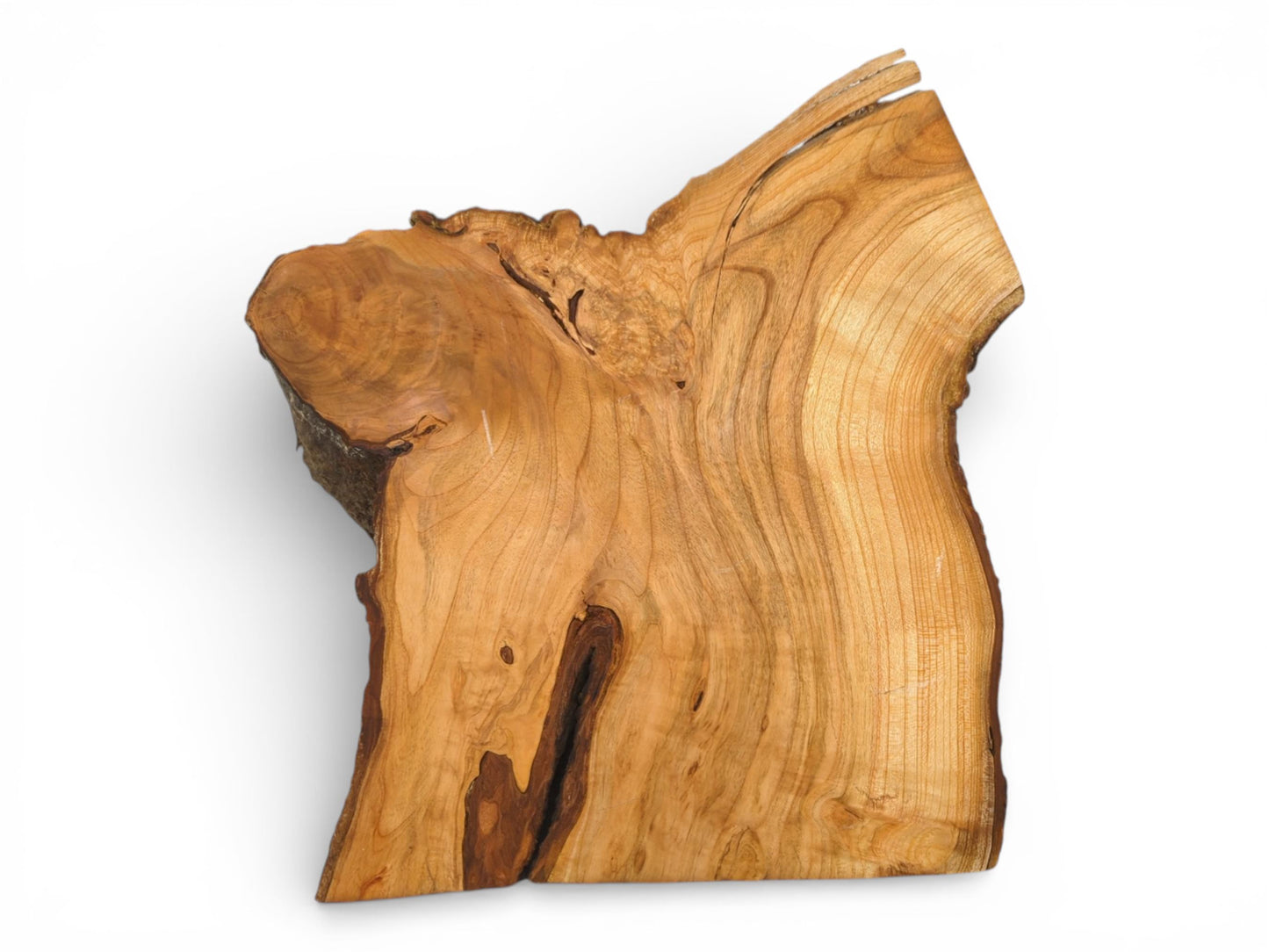 Overhead view of a raw wild cherry slab highlighting its swirling wood grain and natural, irregular contours.