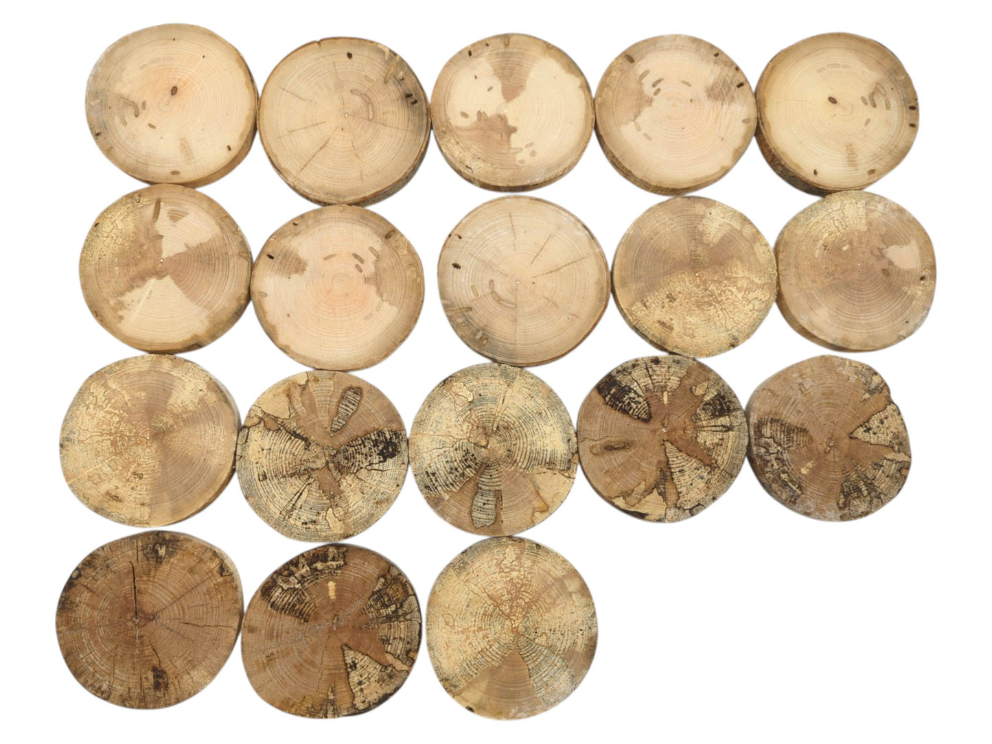 Eighteen timber rounds arranged in rows, transitioning from smooth, pale surfaces to dark, cracked textures.