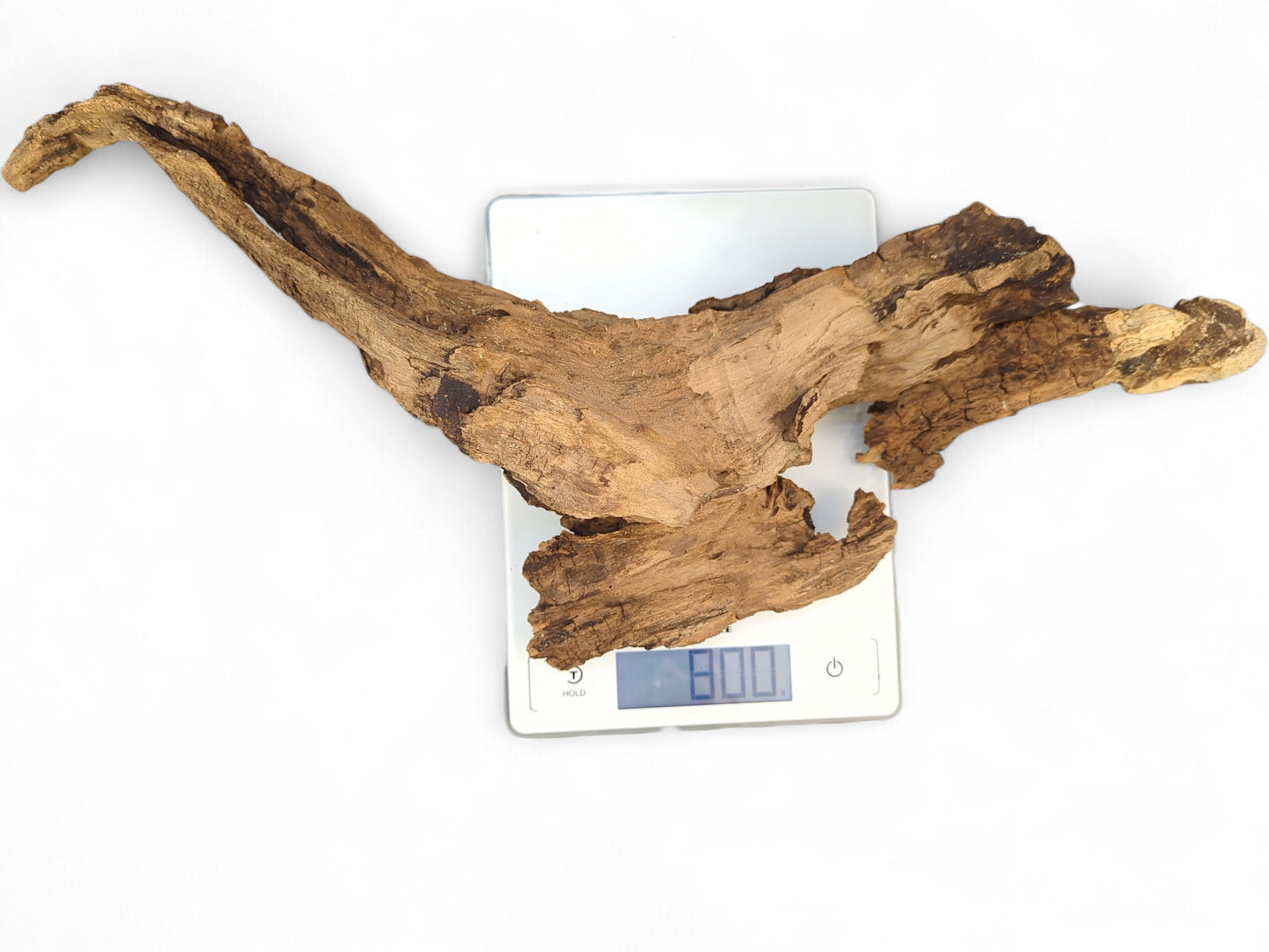 Gnarled light brown driftwood with a rough, deeply textured surface, resting on a digital scale showing 800.
