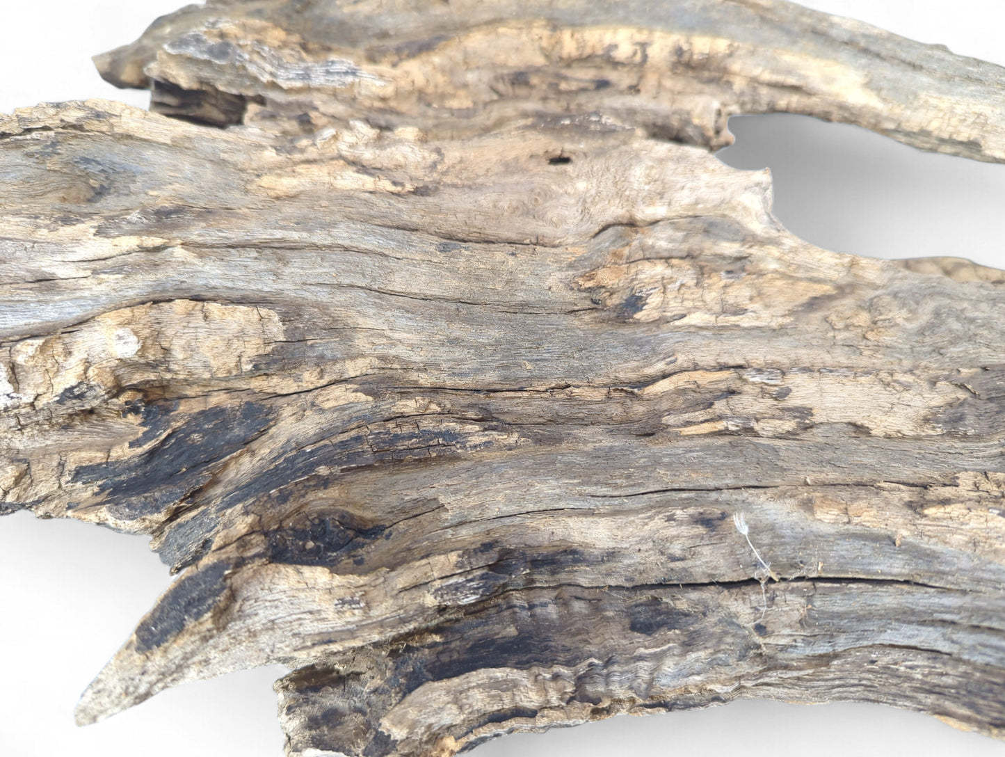 Driftwood with a rough, weathered surface, showing light brown, gray, and dark eroded areas.