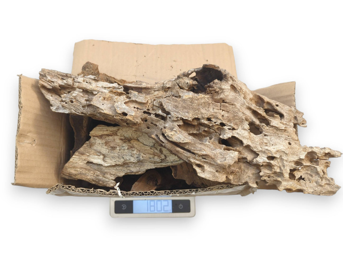 A collection of porous wood pieces inside a cardboard box being weighed on a digital scale.