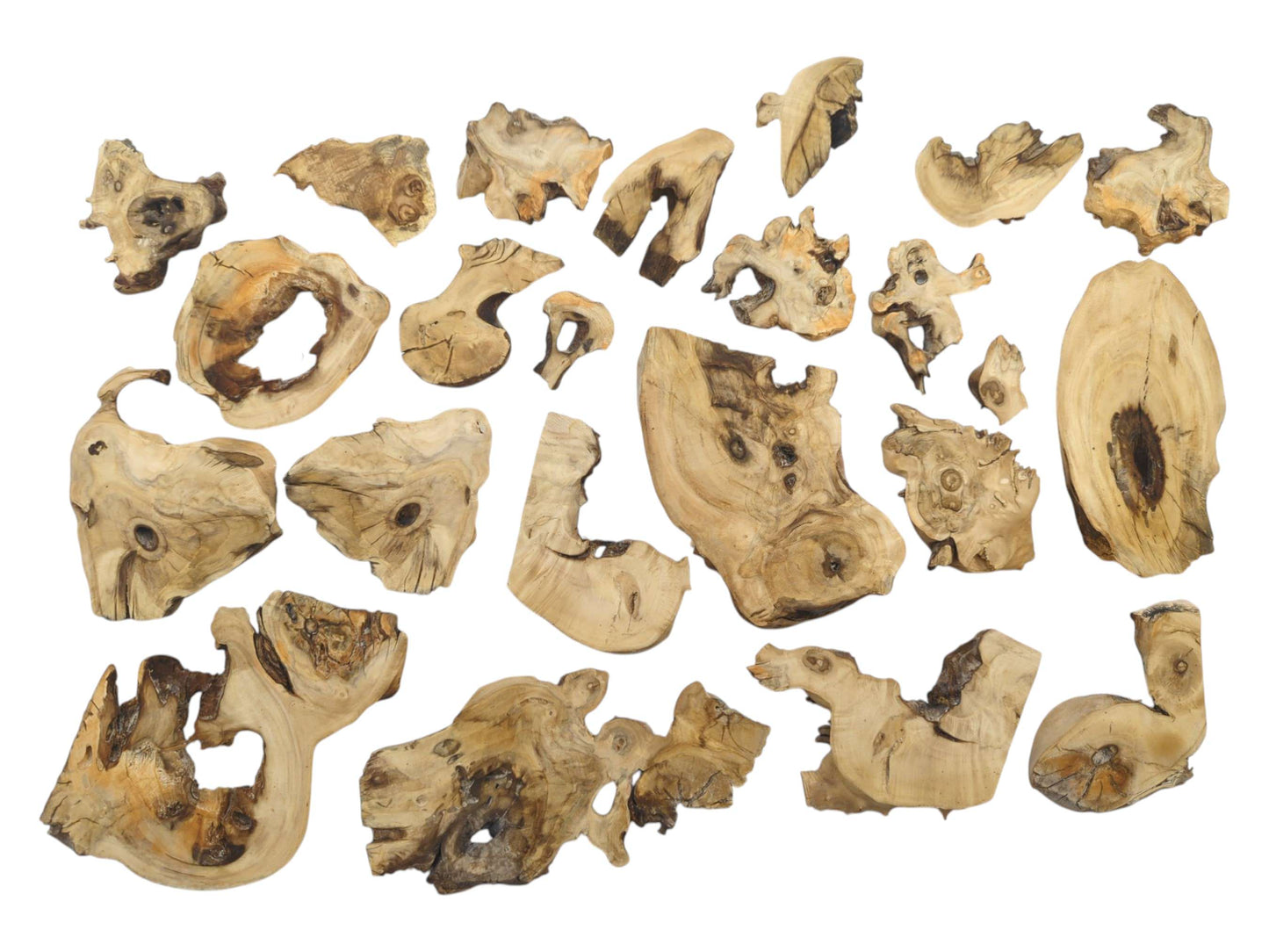 A collection of various light-colored elderberry wood pieces with natural edges and visible knots.