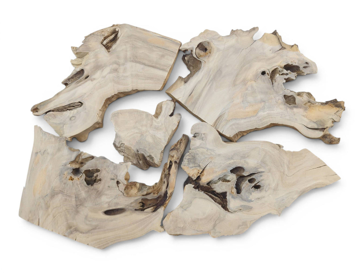 Five irregularly shaped, light-colored elderberry wood pieces with natural edges and visible grain.