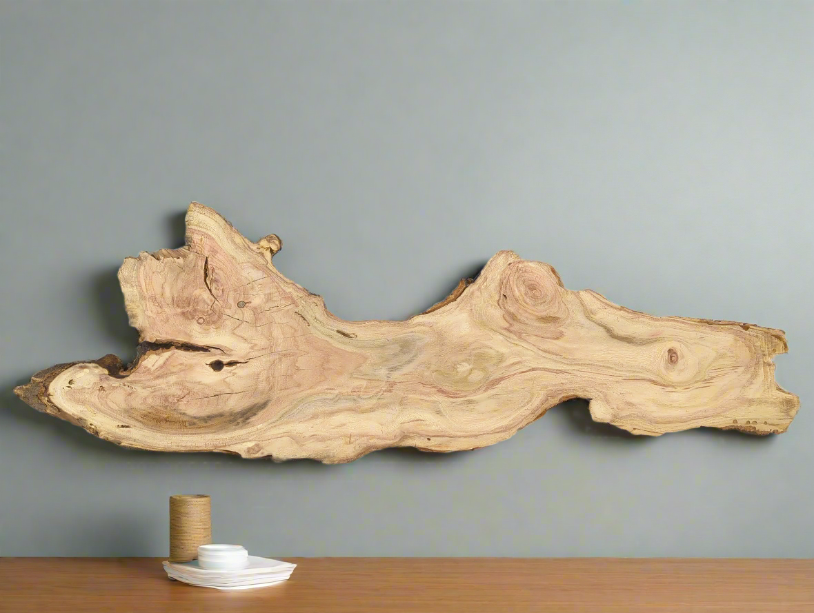 Long, irregularly shaped honey locust root slice with light wood, reddish swirling grain, and dark bark edges.
