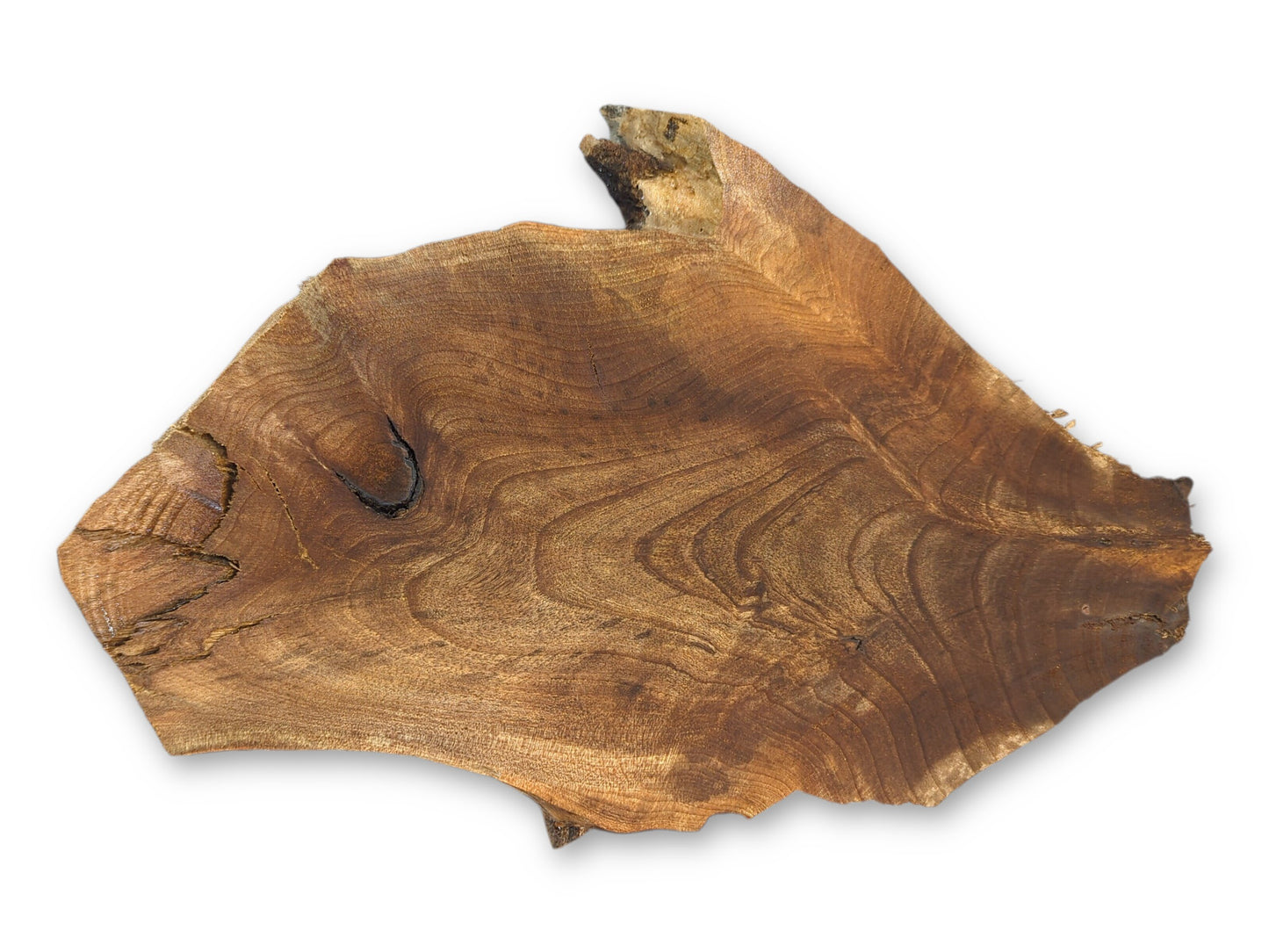 An irregular brown wood slice displays intricate wavy grain patterns, a dark knot, and several visible cracks.