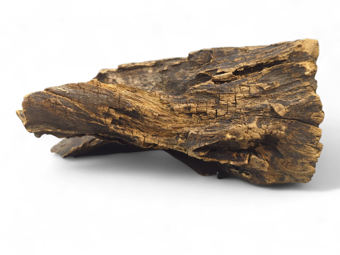 An irregular piece of dark and golden-brown wood, showing deep, weathered textures and cracks.