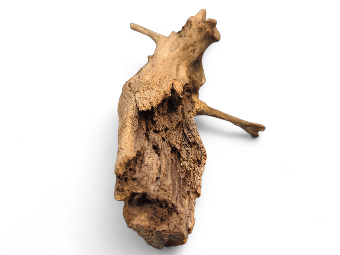 Natural light brown driftwood piece, featuring gnarled texture, rough surface, and deep irregular crevices.