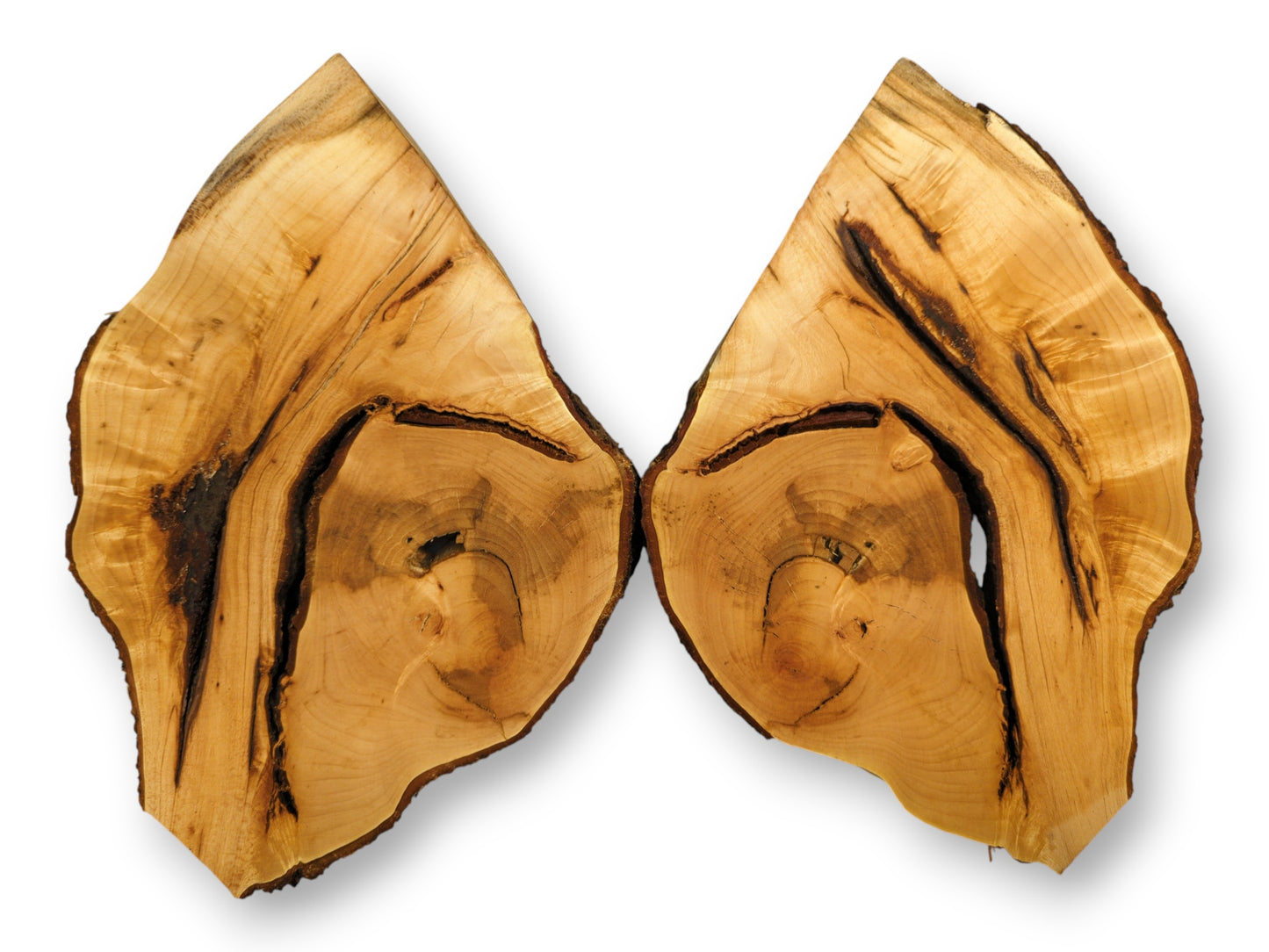 Pair of light-colored bookmatched linden wood slices showing dark irregular grain, natural voids, and bark edges.