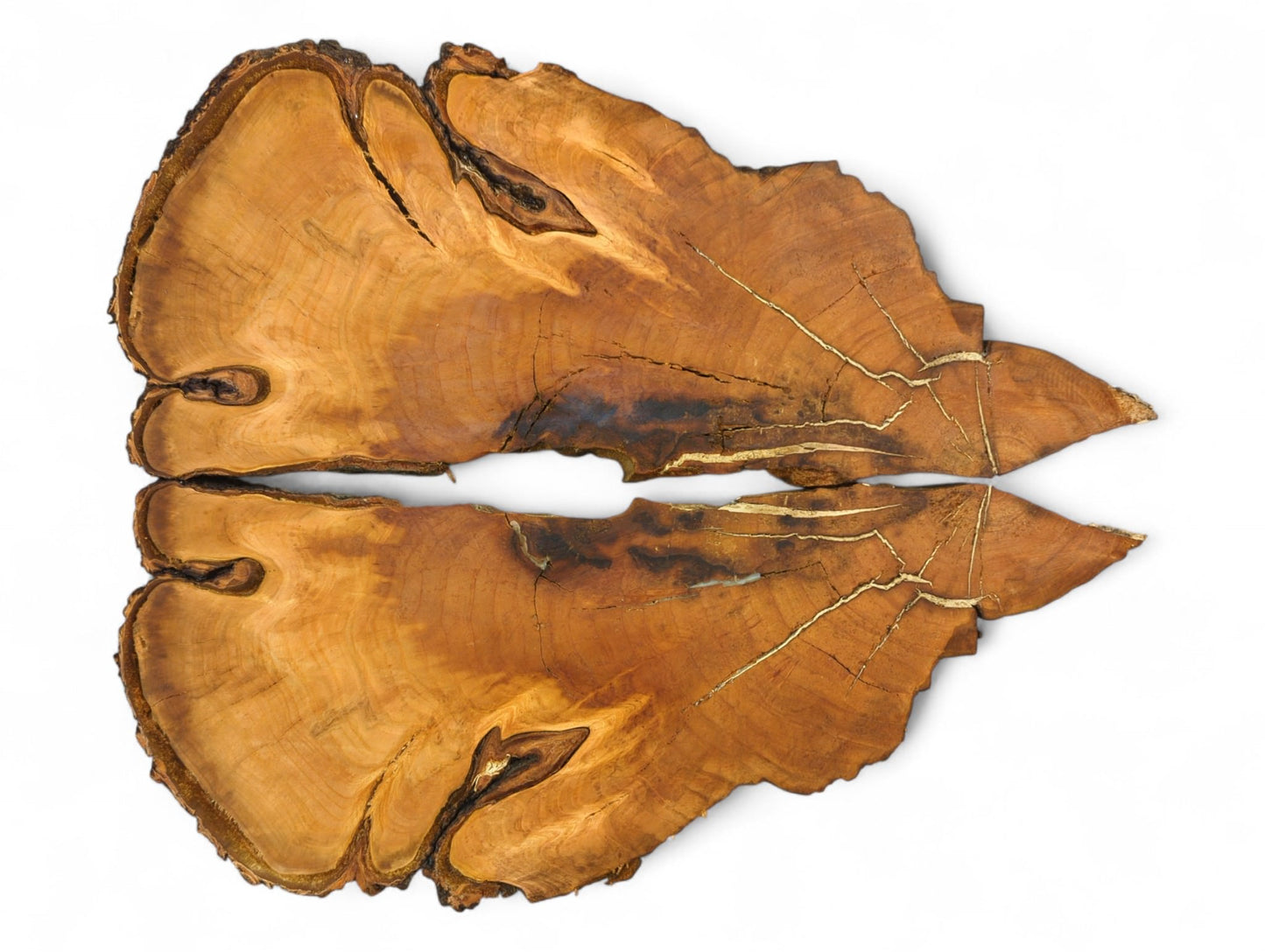 Two irregular bookmatched brown wood slices with live edges, visible grain, and light-filled cracks.
