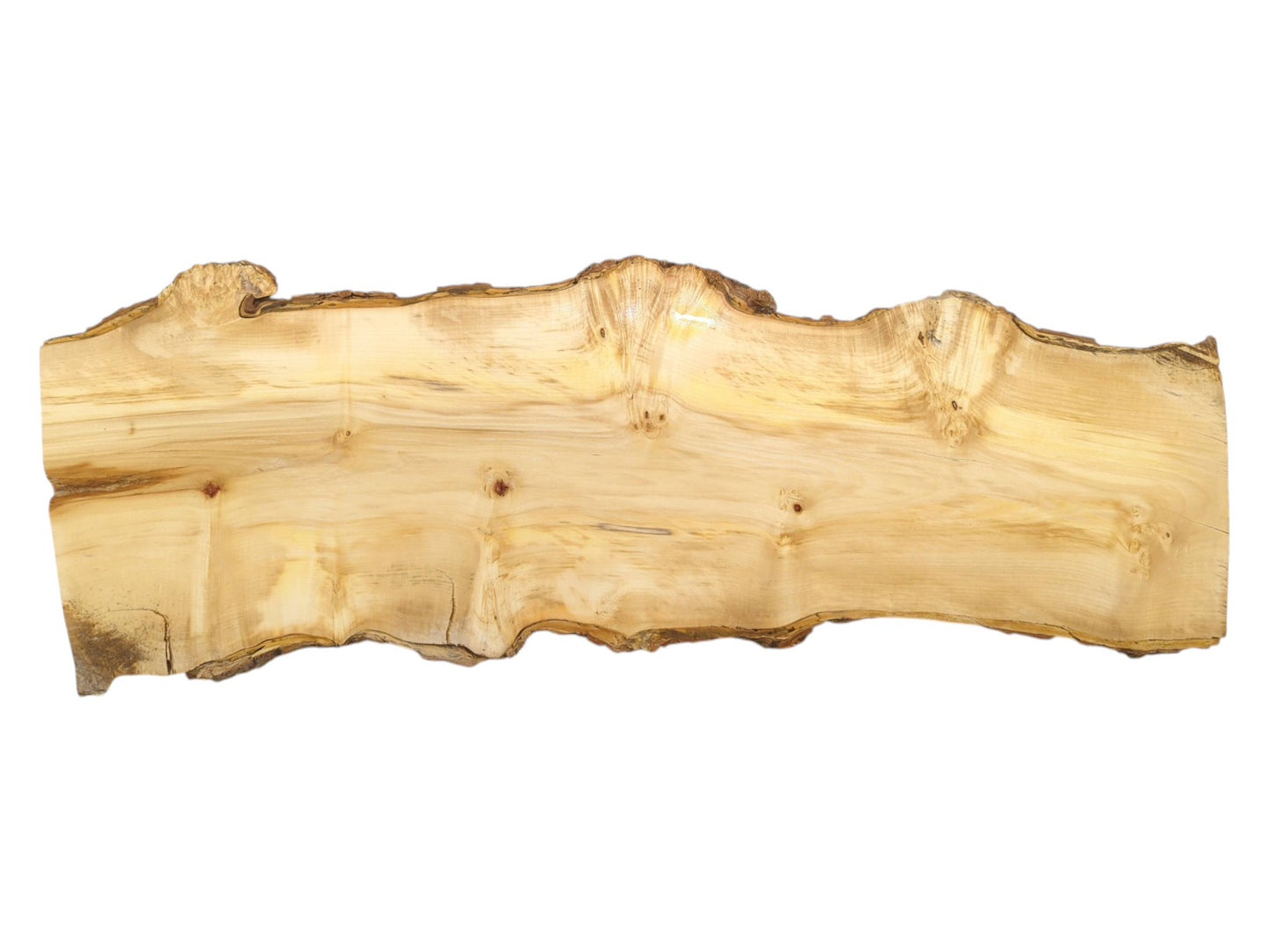 This horizontal timber slab shows a gnarled, organic border and fine, linear grain patterns.