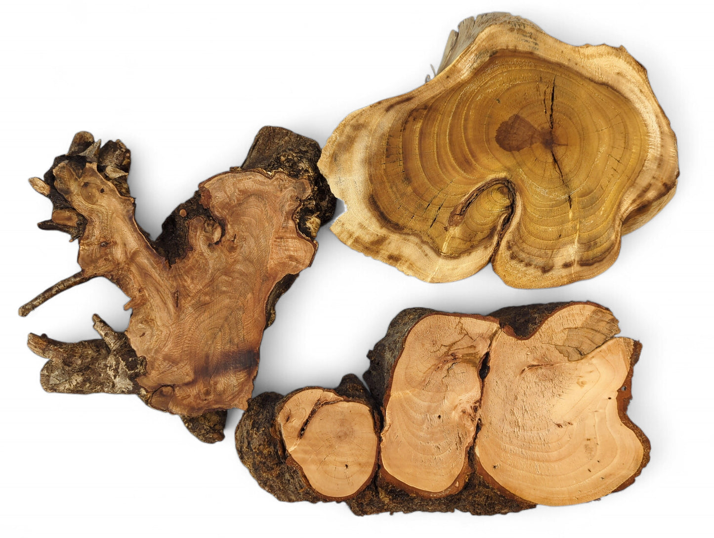 A set of three light-colored, irregular wood slices, planed, sanded, with rough, dark bark.