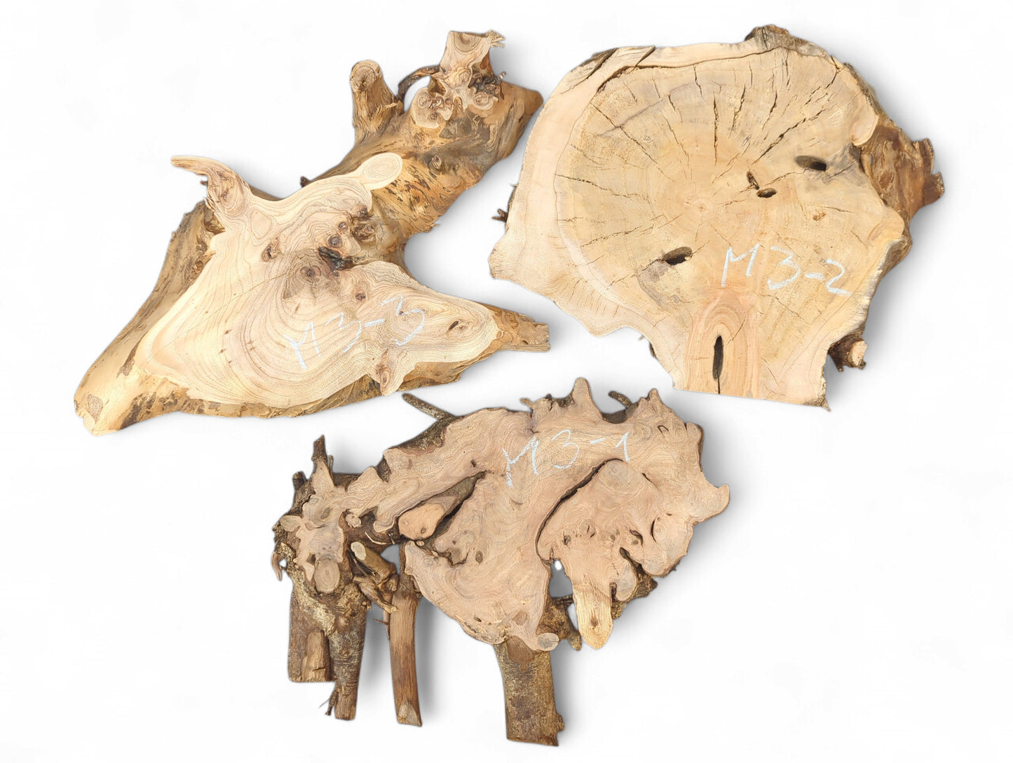 Organically shaped raw wood slices, light brown, displaying prominent grain, dark live edges, and identifying numbers.