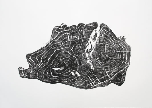 Irregular black and white monoprint of a tree root cross-section, displaying concentric growth rings and natural textures.
