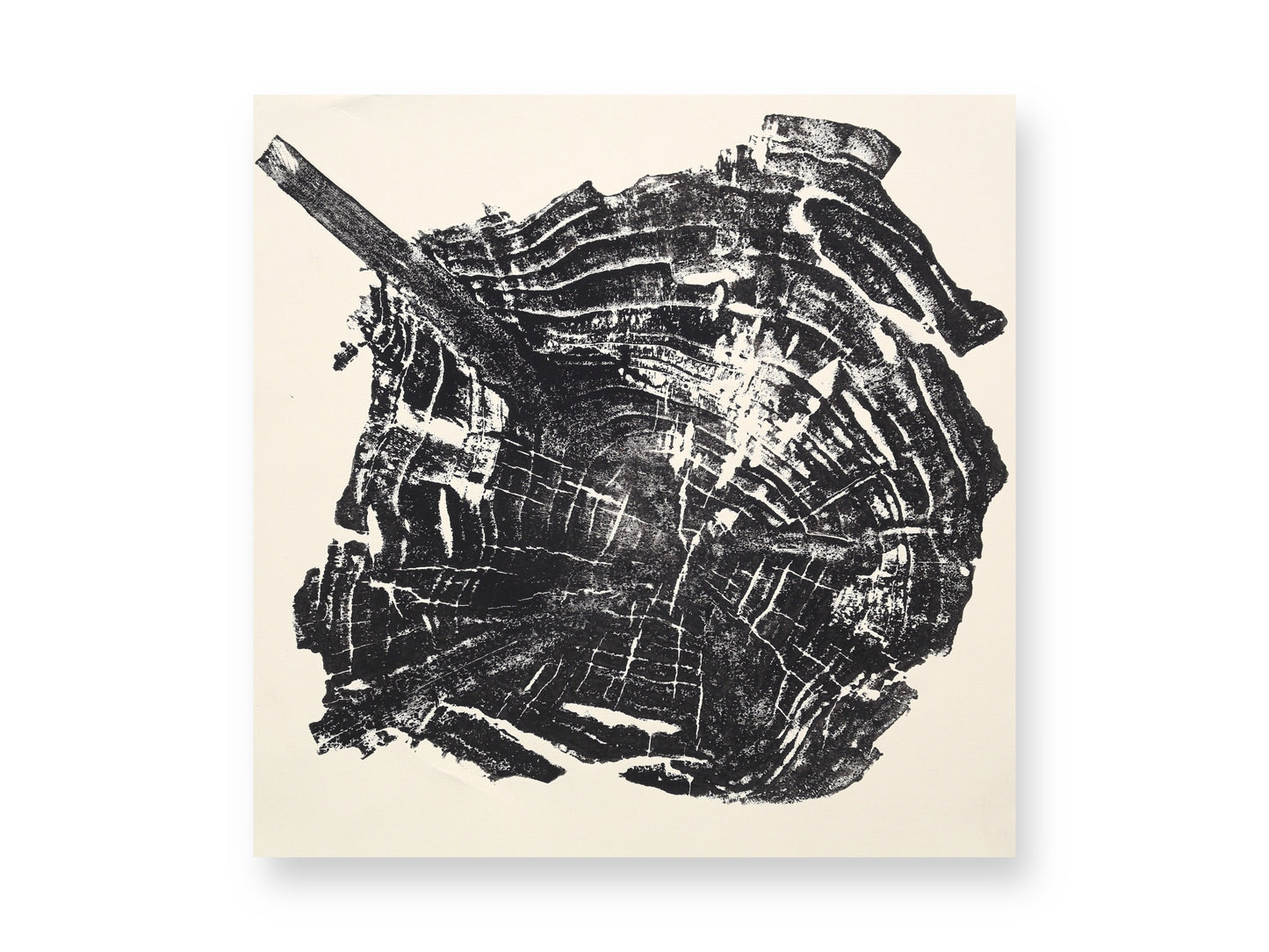 Impression of an irregular tree root slice in black, revealing concentric growth rings and a diagonal root.