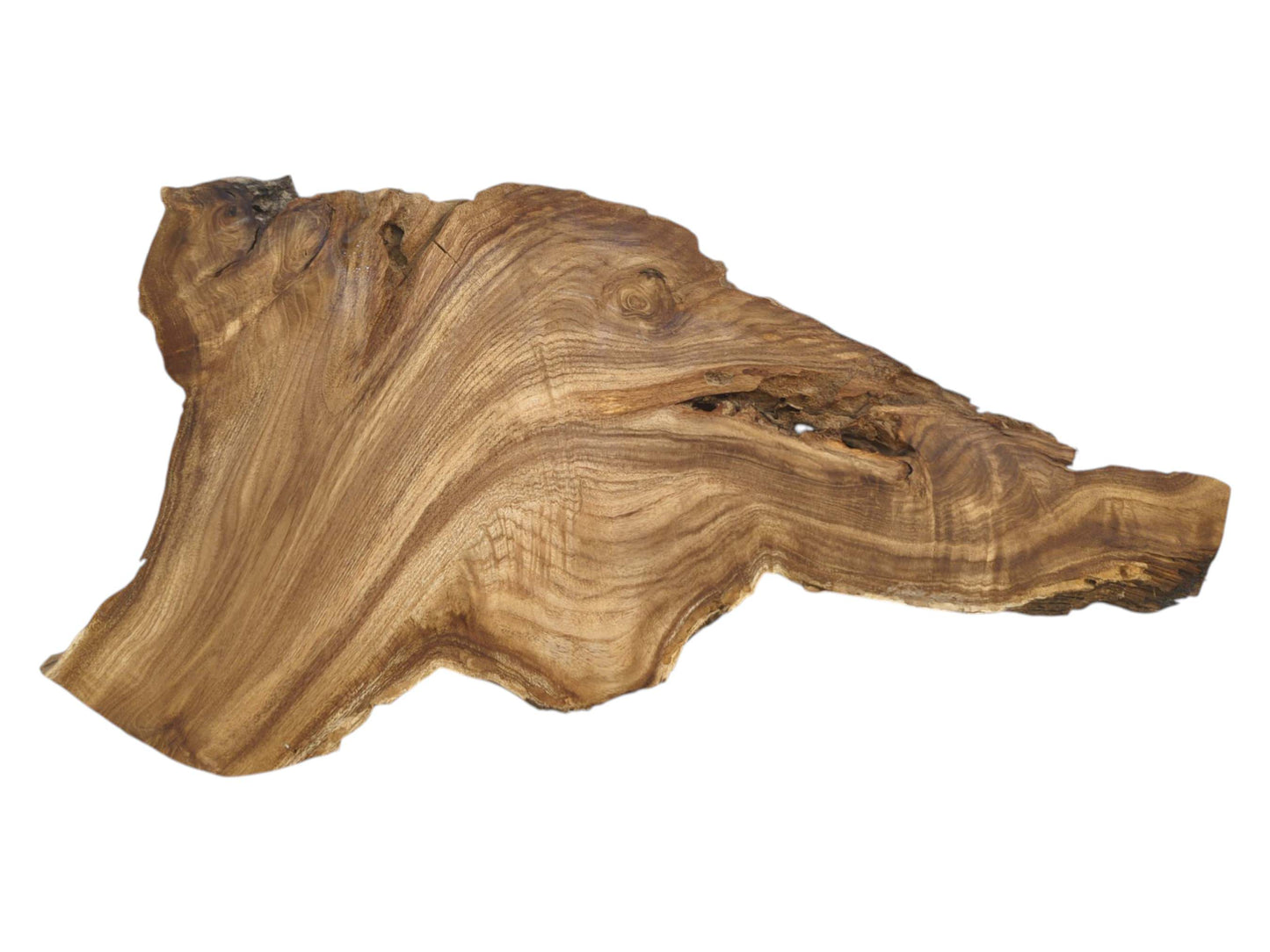 An irregularly shaped timber piece features swirling grain patterns flowing from a large, dark knot.