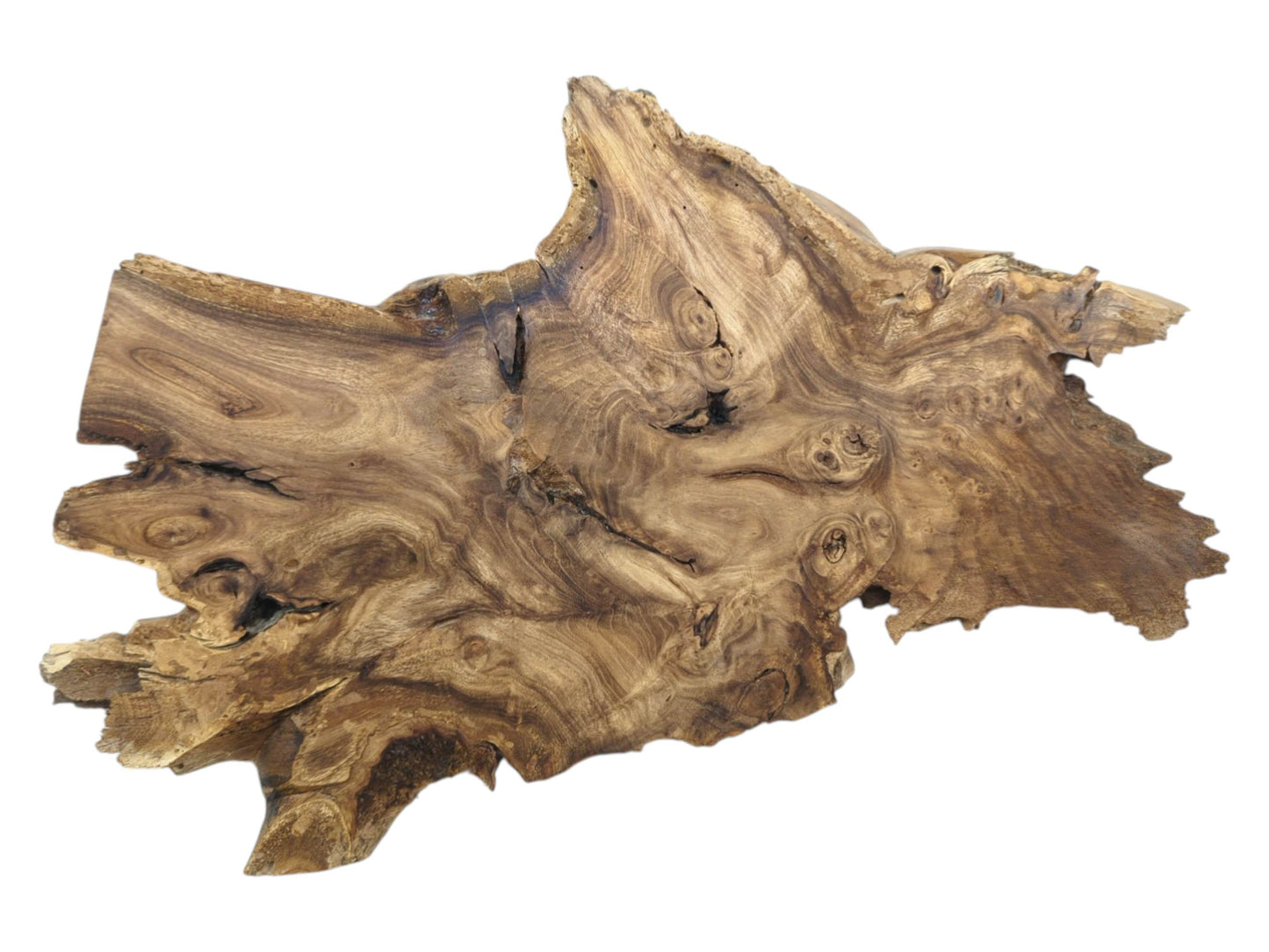 A highly figured timber slab with a jagged perimeter reveals intricate, swirling grain and burls.