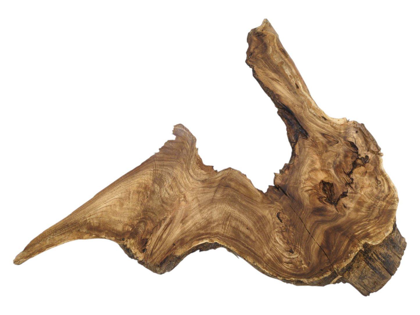 An irregularly shaped timber slab displays swirling grain, a pointed end, and a jagged peak.