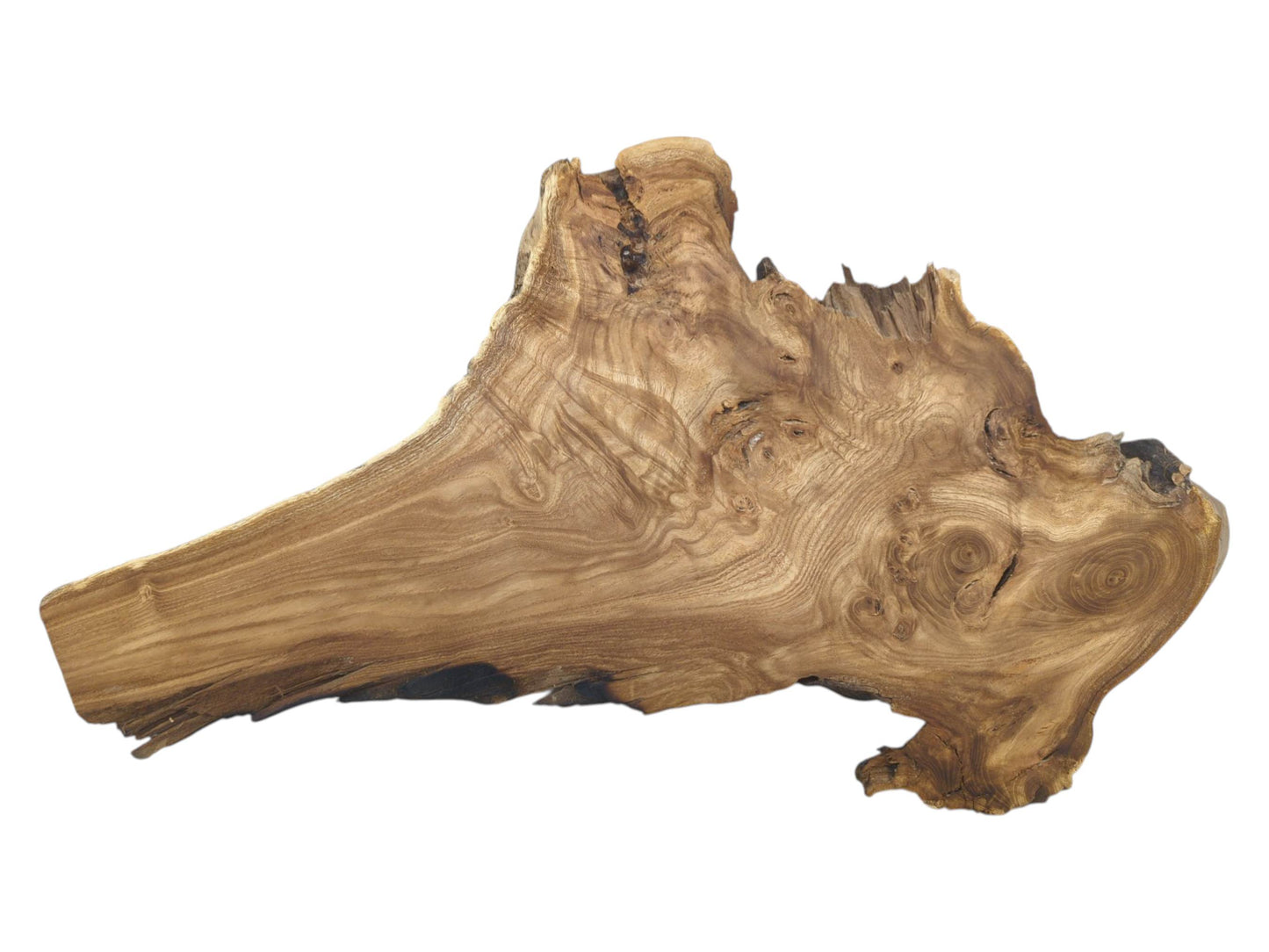 A gnarled timber cross-section displays intricate swirling grain, multiple knots, and a rugged edge.