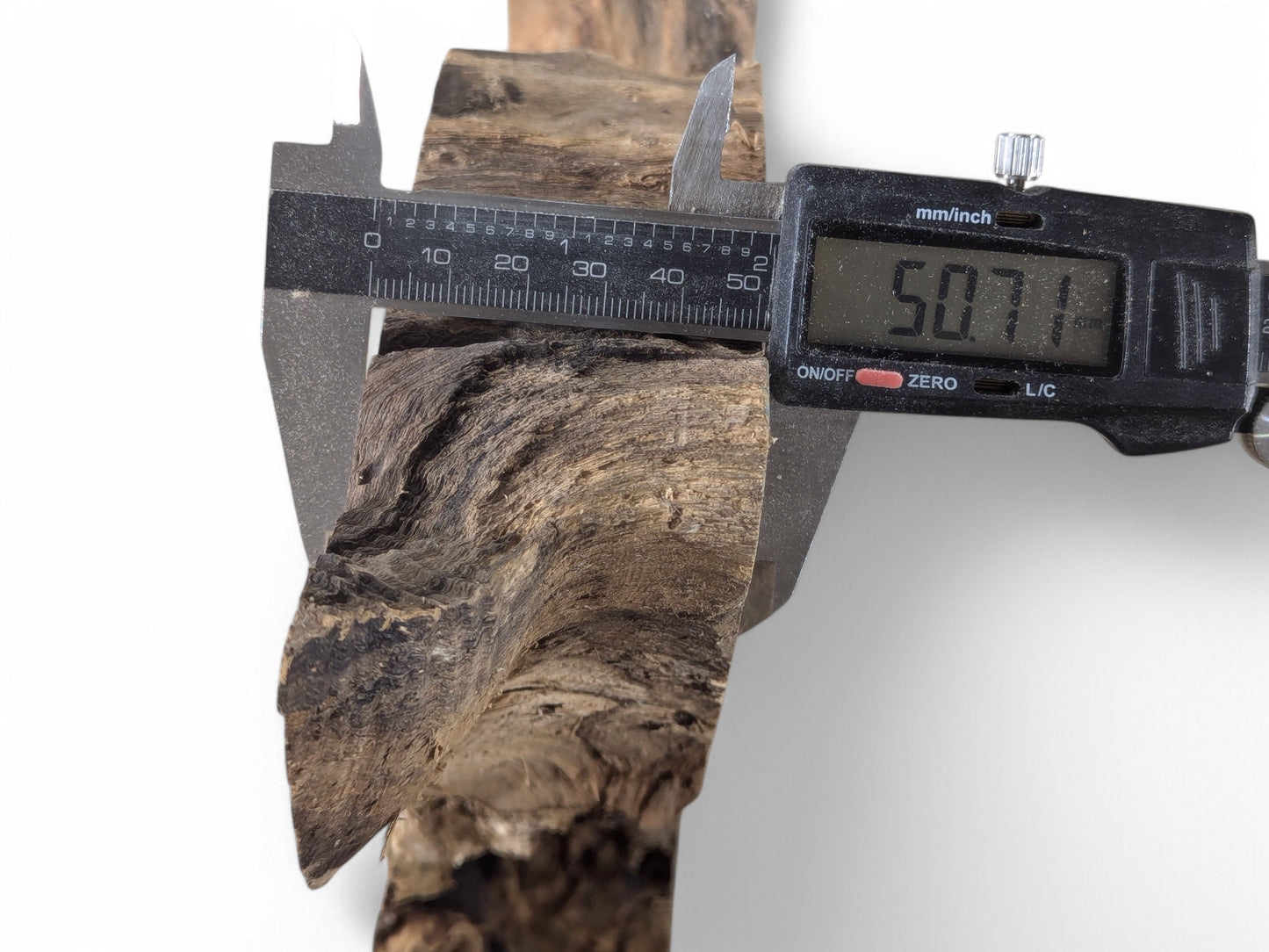 Digital caliper displays 50.71 mm while measuring the irregular, dark brown, textured wood slice thickness.