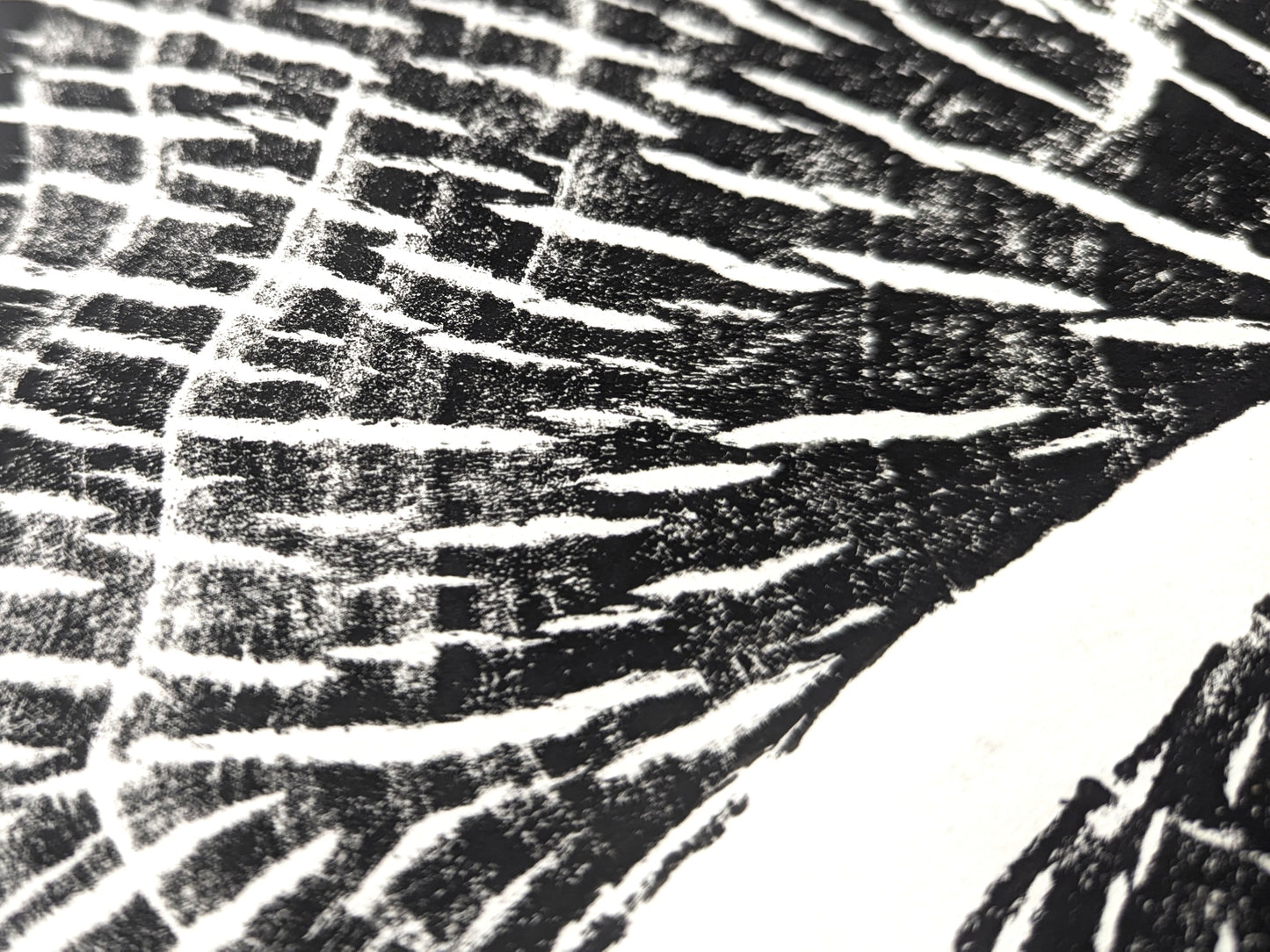 High-contrast black and white print shows granular dark sections with many irregular, branching white lines.