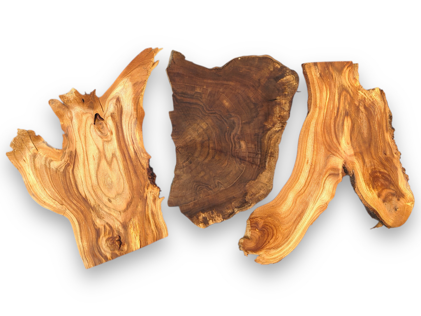 Several varied, unfinished wood slices display irregular shapes, live edges, and prominent grain in brown tones.