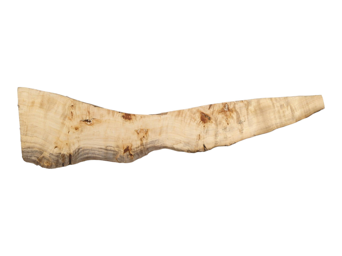 A pale, tapering timber slab is marked by scattered burls and a dark, stained edge.