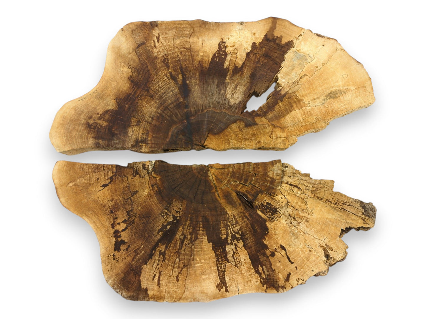 A pair of walnut wood slabs with natural live edges show a prominent, dark fan-shaped grain.