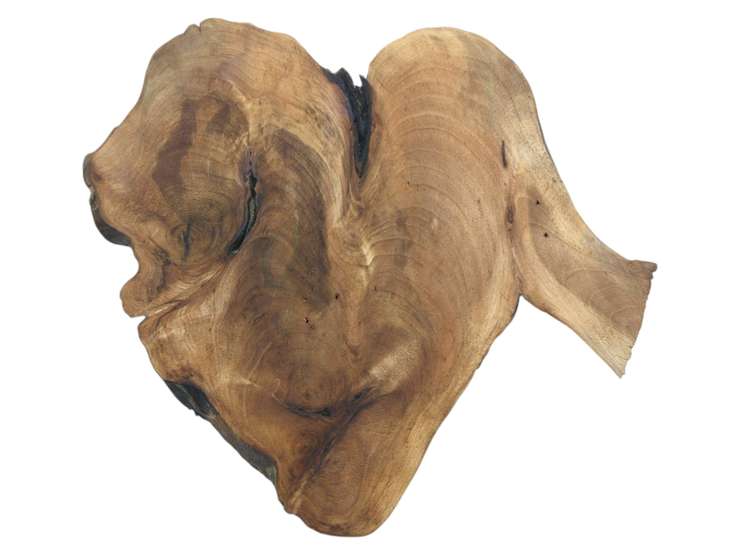 An isolated, heart-shaped walnut root slab with a deep central cleft and complex, swirling brown grain.
