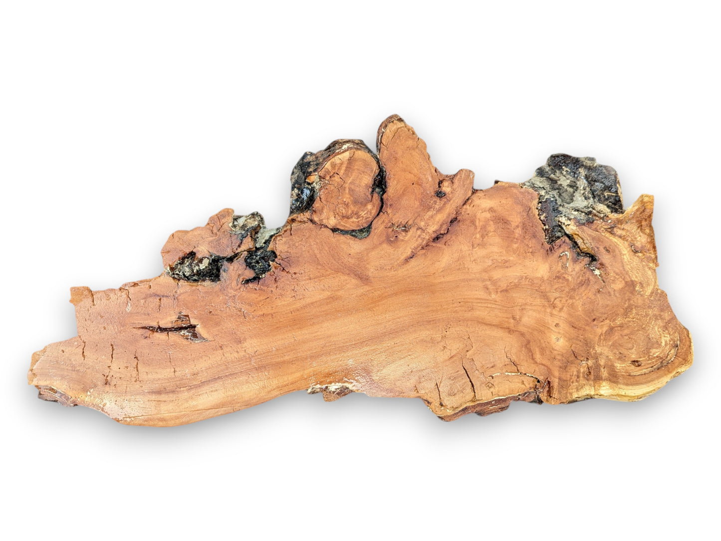 An irregular weeping willow wood slab with light brown grain, dark rugged bark, and a fragile, cracked texture.