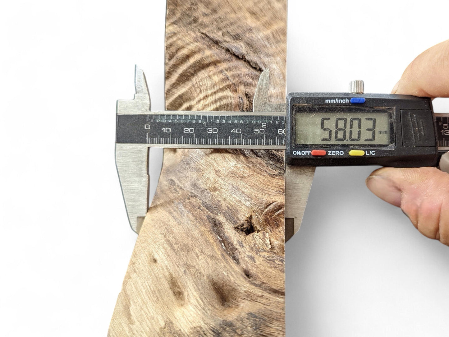 A digital caliper measures a light brown walnut root slice with prominent swirling grain, showing 58.03 mm.