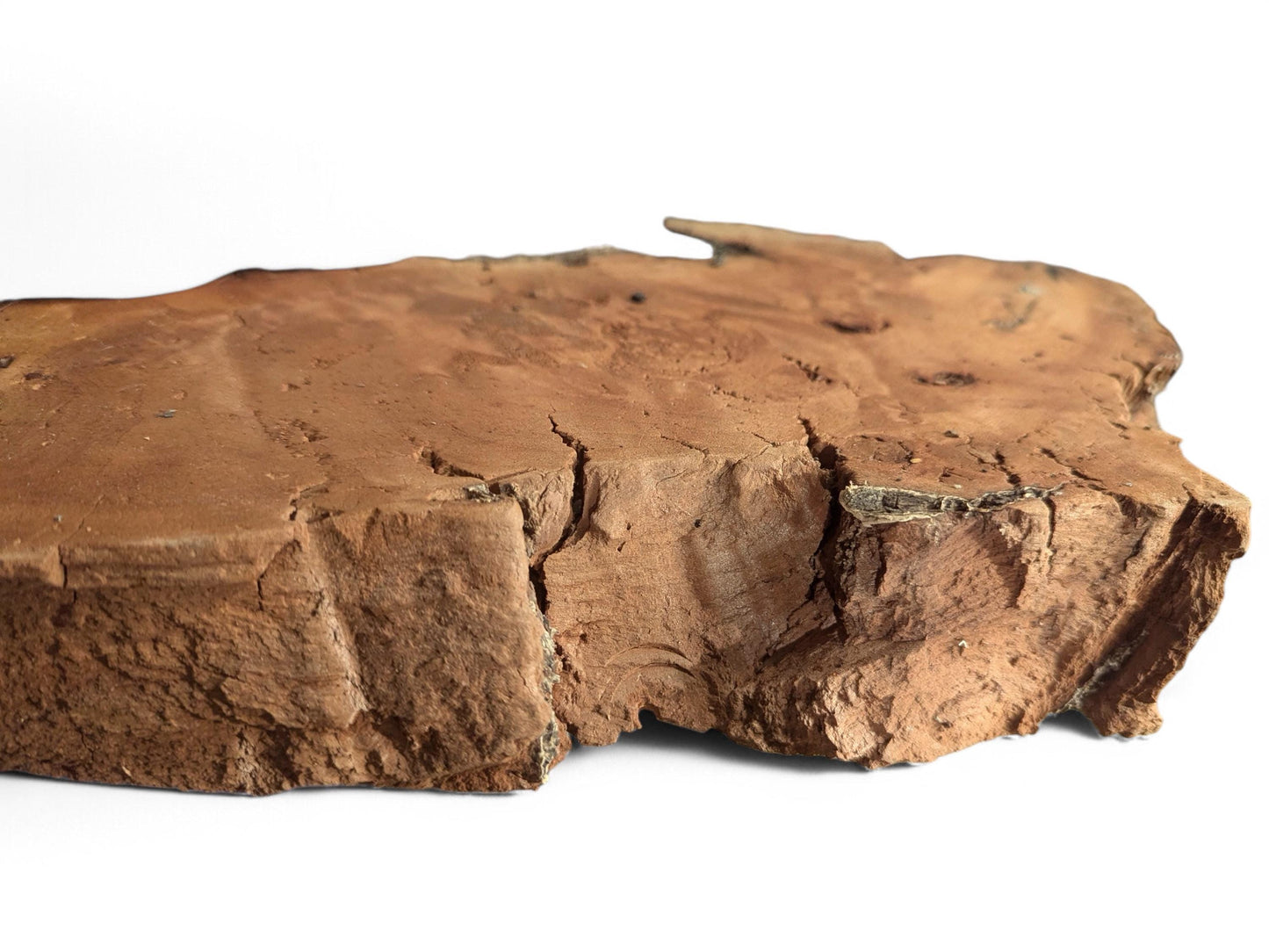 Irregular, reddish-brown weeping willow wood slab displays a cracked top and rough, deeply fissured sides.