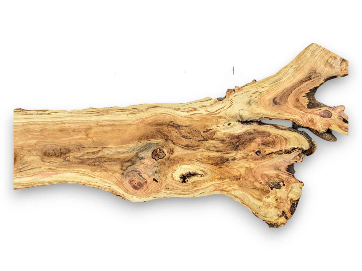 An elongated, golden-brown honey locust root slice with intricate swirling grain patterns, natural knots, and rough live edges.