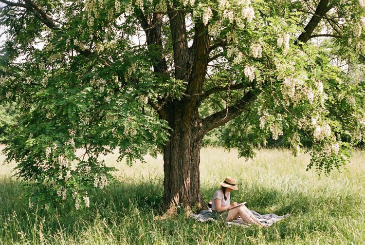 Black Locust