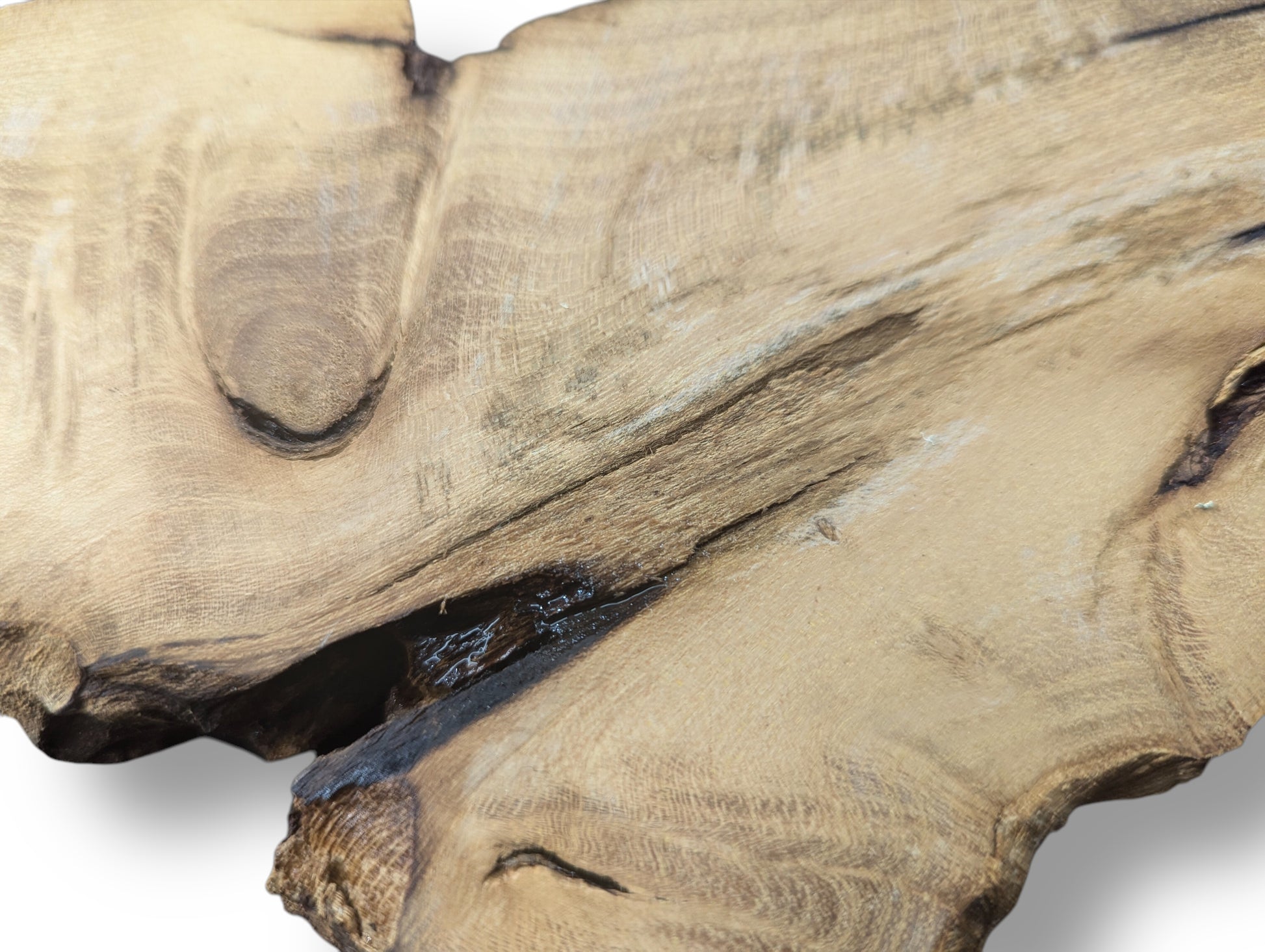 Natural black locust root wood slice, light brown, planed, displaying smooth grain patterns and dark rough edges.