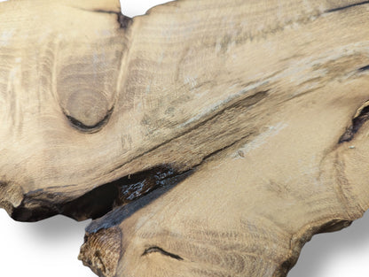 Natural black locust root wood slice, light brown, planed, displaying smooth grain patterns and dark rough edges.