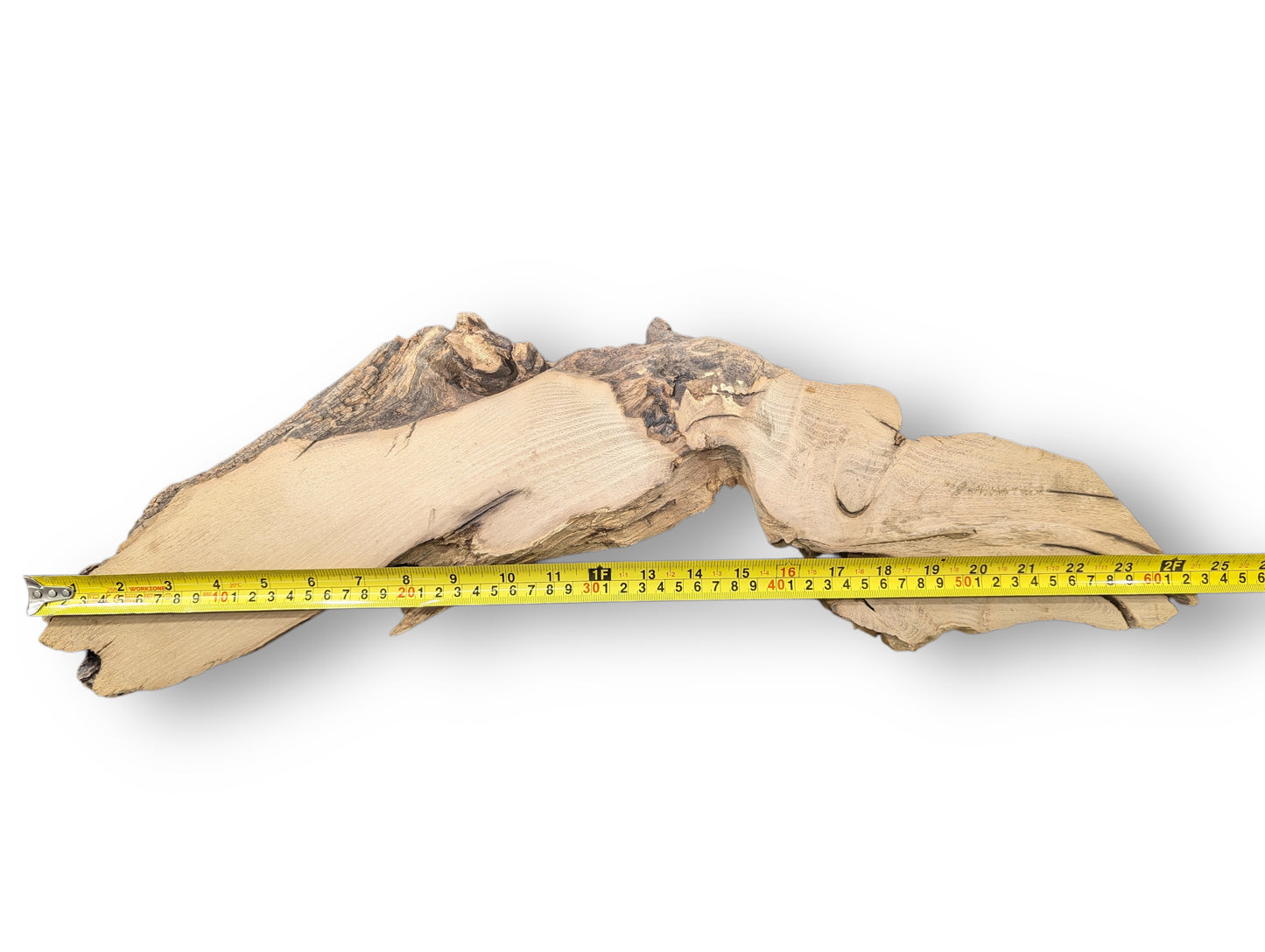 Black locust root wood slice, light brown, planed, sanded, retaining natural bark and a measuring tape.