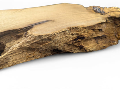 Irregularly shaped light brown black locust wood slice, showing smooth top surface and rough natural edge.