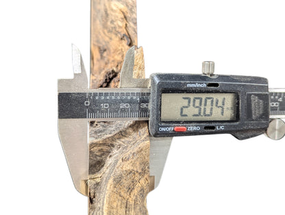 A digital caliper measures the 29.04 mm thickness of a planed black locust root wood slice.
