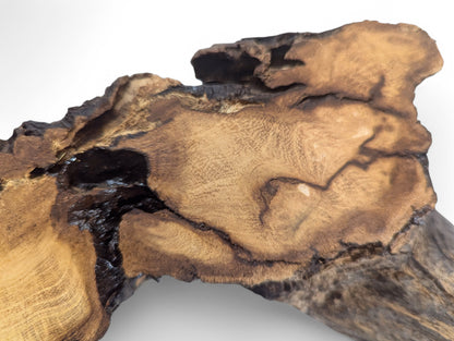 Natural black locust root wood slice displaying light and dark brown tones, wavy grain, and organic edges.