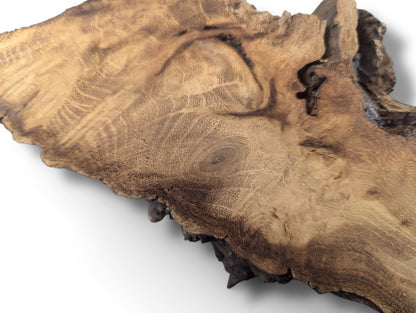 Irregular black locust root wood slice displaying varied light and dark brown tones with wavy grain and organic edges.