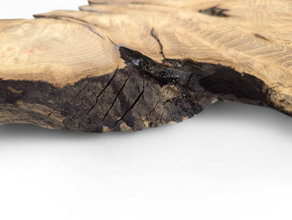 Close-up of a light brown black locust root wood slice with dark, cracked bark and wavy grain.