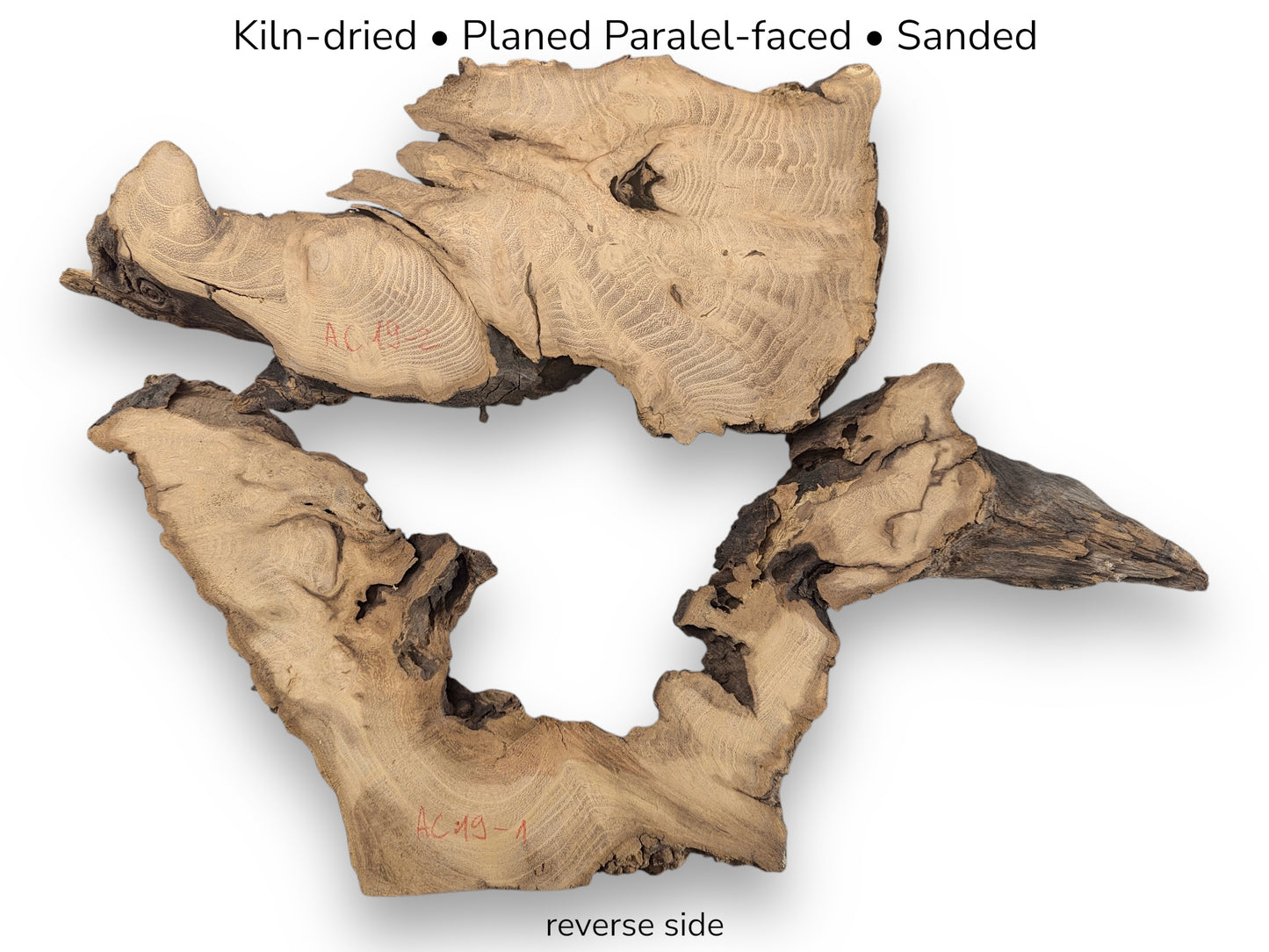 Planed Black Locust root slices with red markings and text details indicating preparation and reverse side.