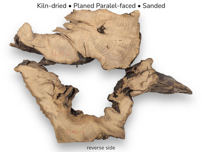 Planed Black Locust root slices with red markings and text details indicating preparation and reverse side.