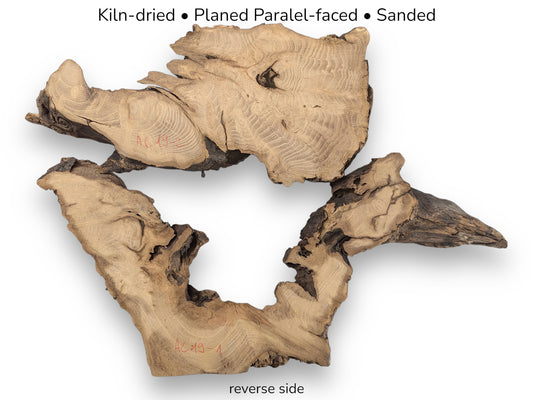 Planed Black Locust root slices with red markings and text details indicating preparation and reverse side.