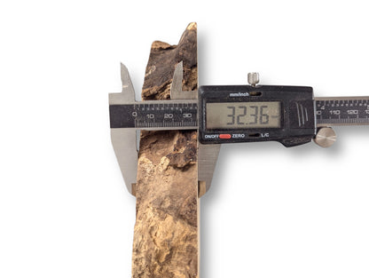 A digital caliper measures a textured, irregular black locust root wood slice at 32.36mm.