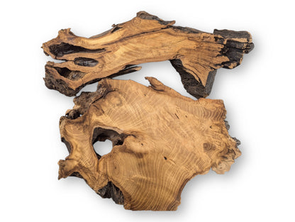 These two planed black locust root wood slices have intricate golden-brown grain and dark, rough bark.