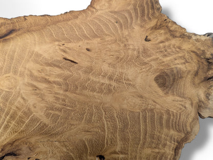 Smooth, planed black locust root wood slice surface revealing intricate golden-brown grain patterns and dark natural edges.