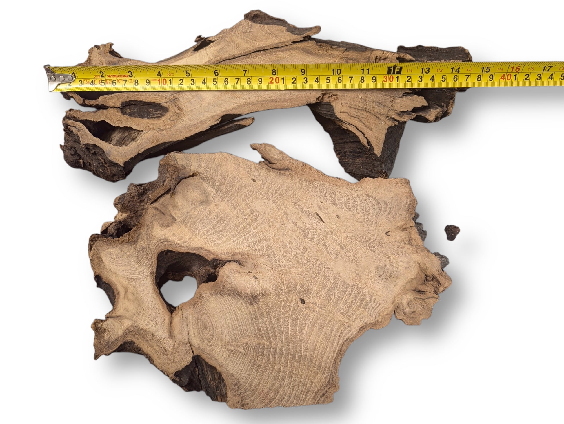 Two planed black locust root wood slices, one with a hole, measured by a yellow tape.
